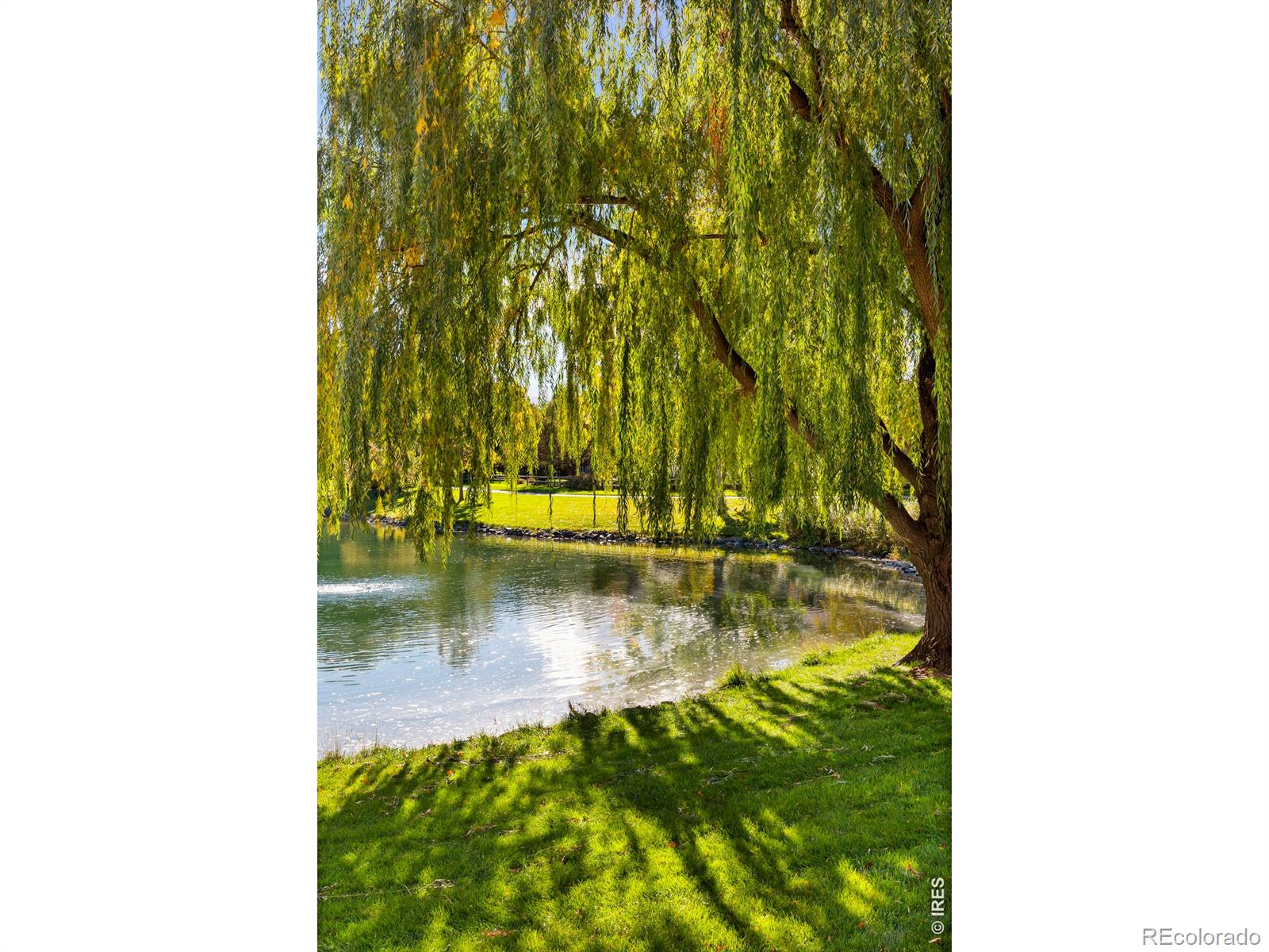 5225 White Willow Drive Unit: Q220