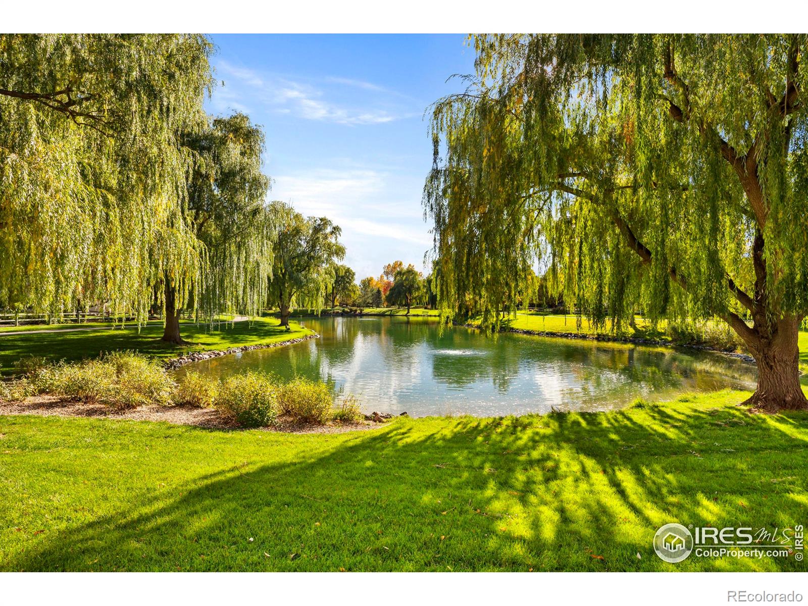 5225 White Willow Drive Unit: Q220