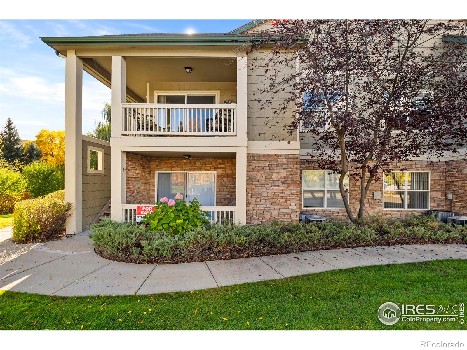 5225 White Willow Drive Unit: Q220