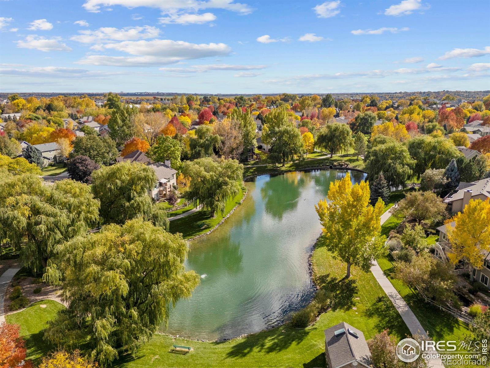 5225 White Willow Drive Unit: Q220