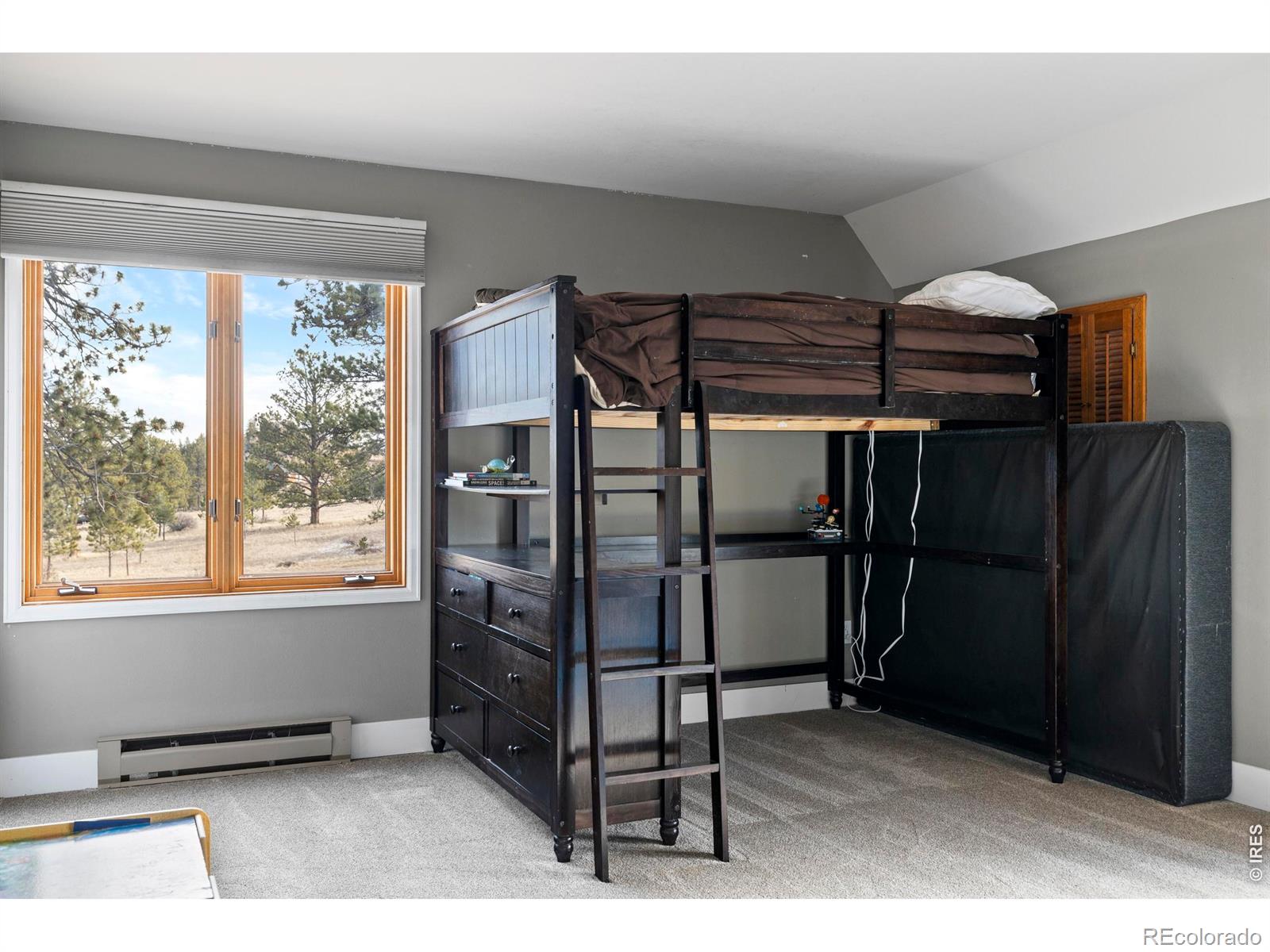 100 S Cucharas Mountain Court