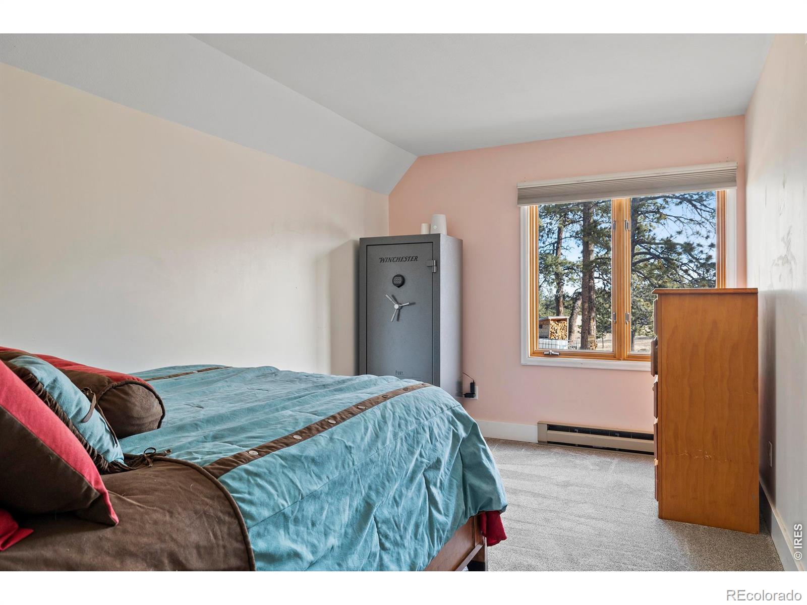 100 S Cucharas Mountain Court