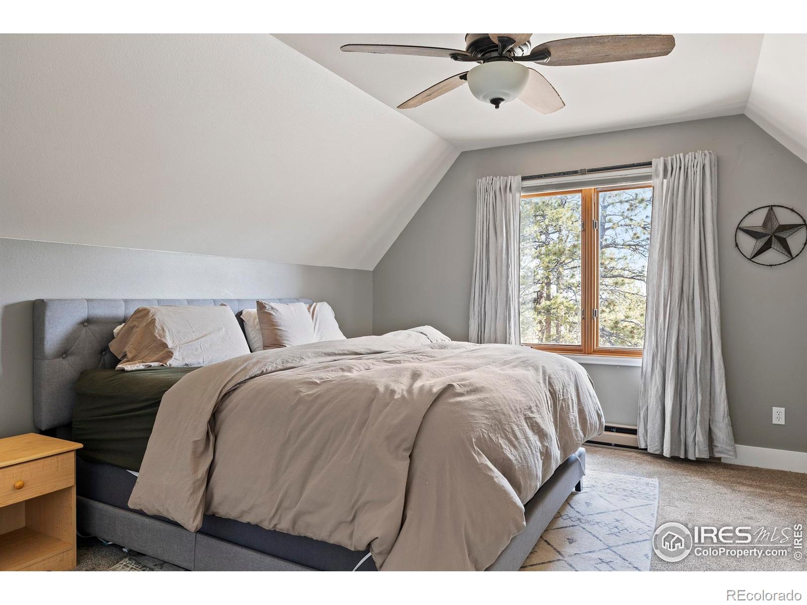 100 S Cucharas Mountain Court