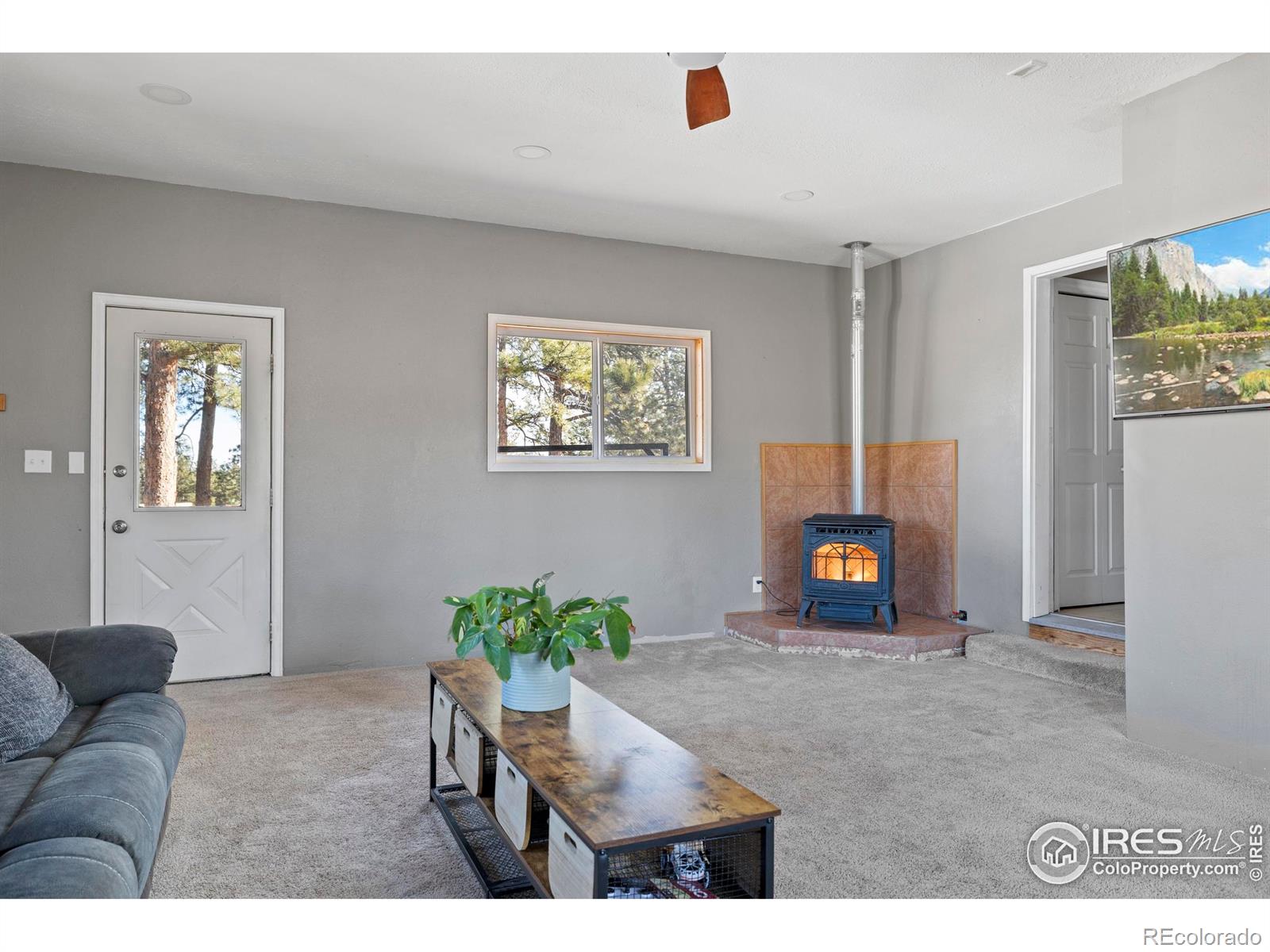 100 S Cucharas Mountain Court