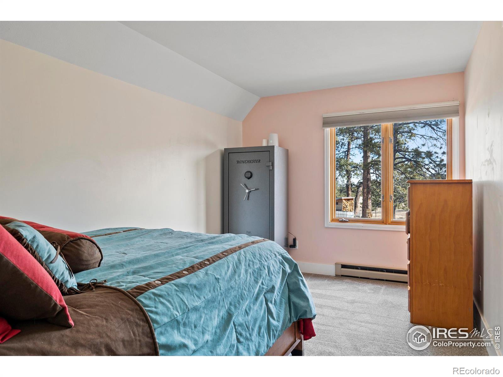 100 S Cucharas Mountain Court