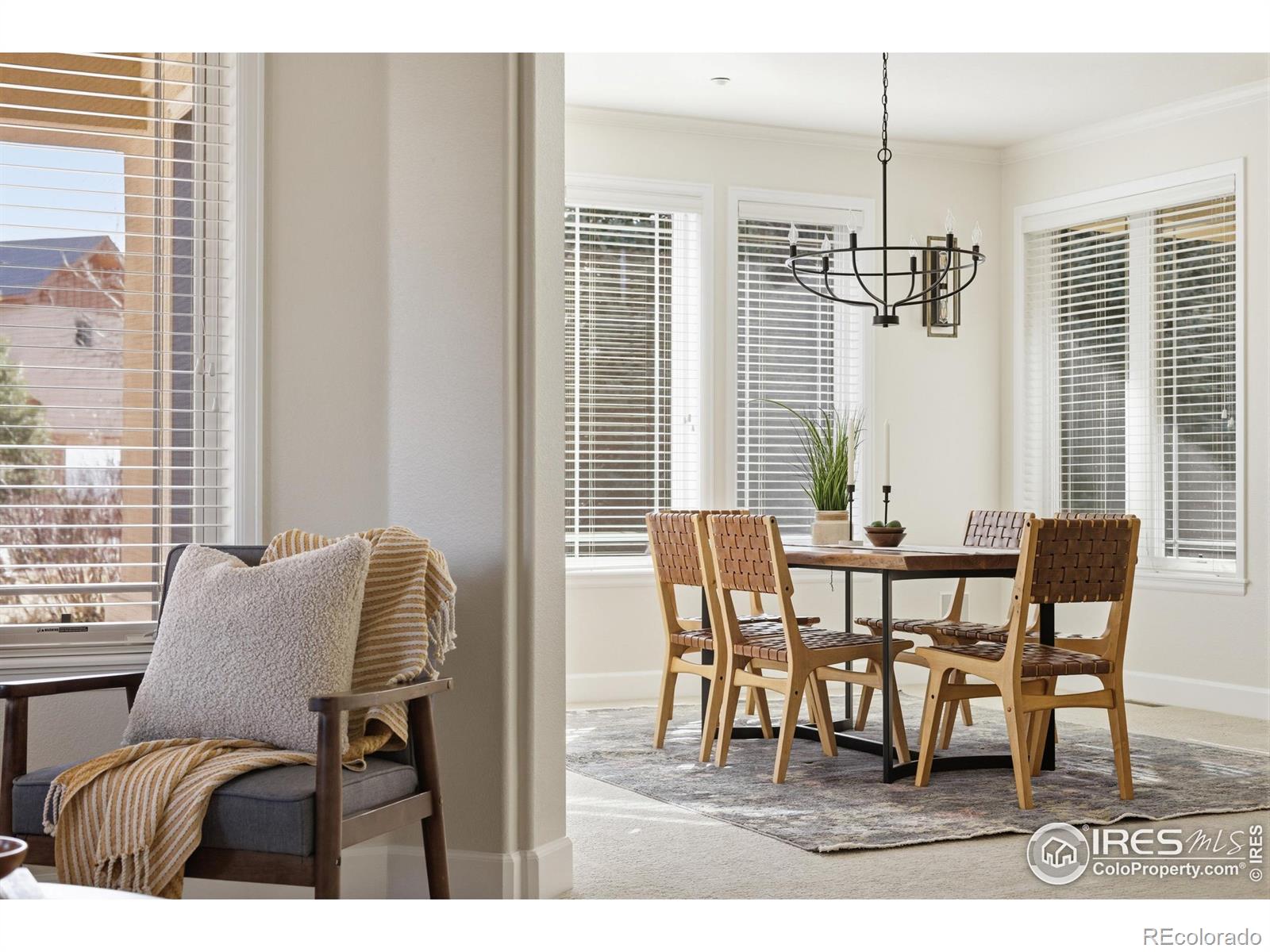 10443 Sunlight Drive