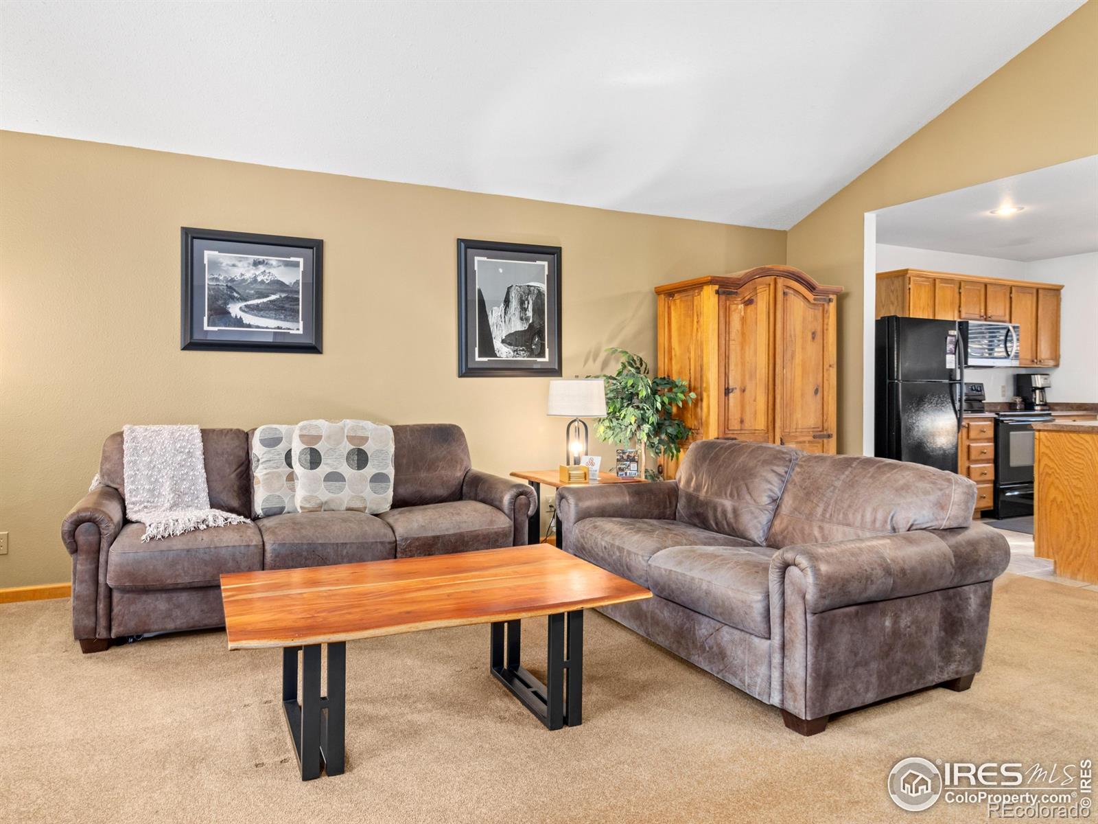 525 Fall River Lane Unit: 4
