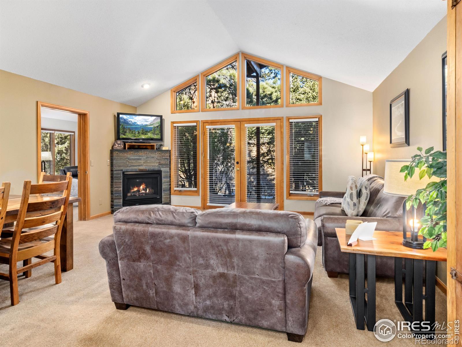 525 Fall River Lane Unit: 4