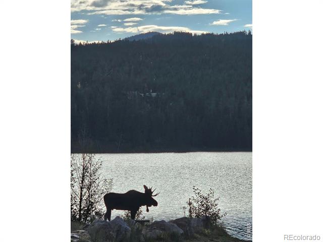 246 Panamint Way