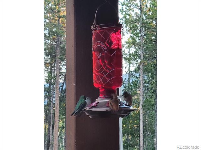 246 Panamint Way