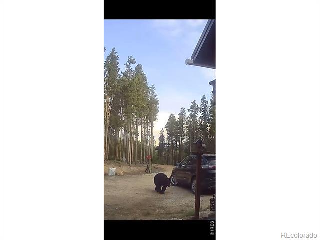 246 Panamint Way