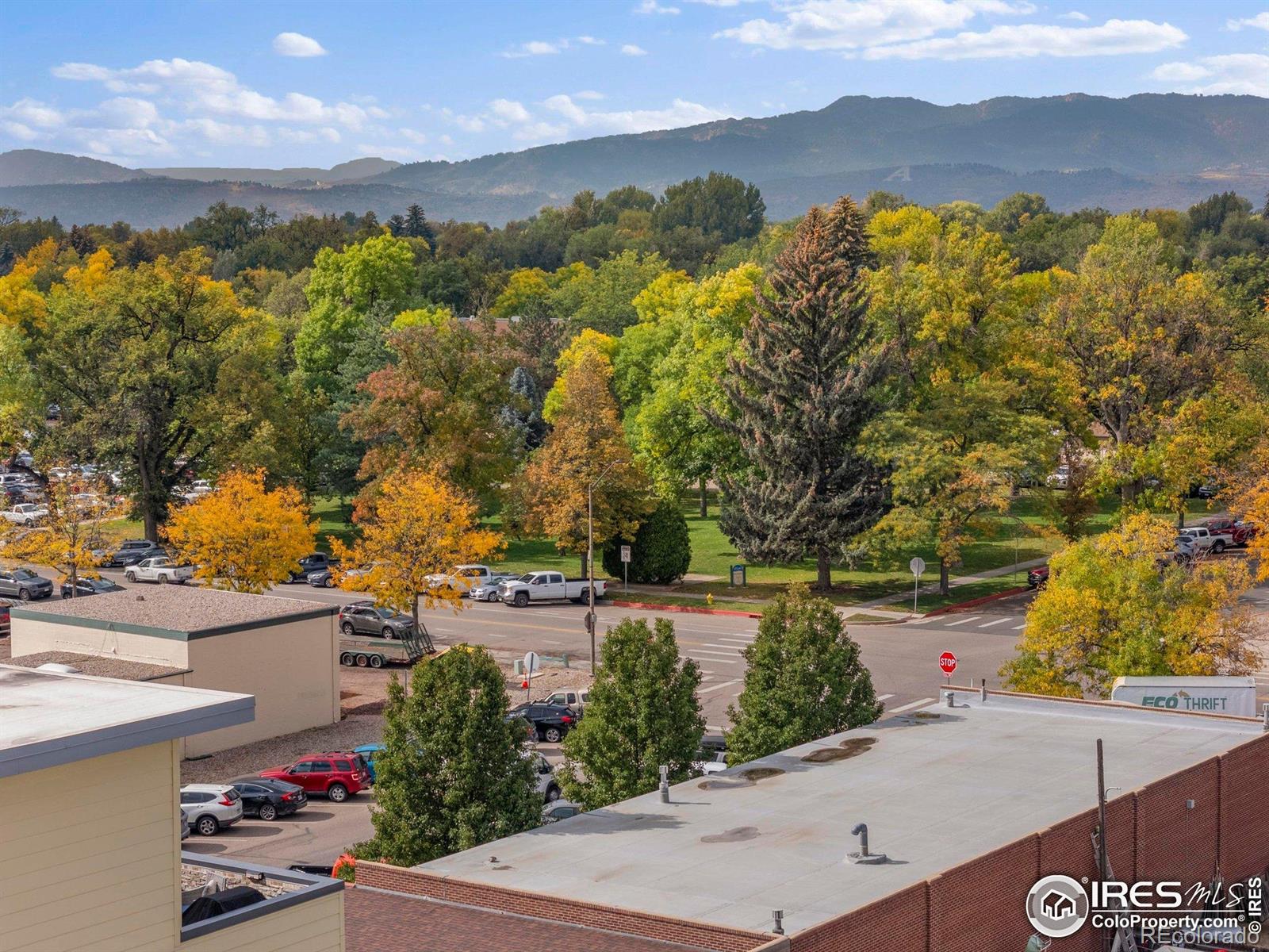 204 Maple Street Unit: 401