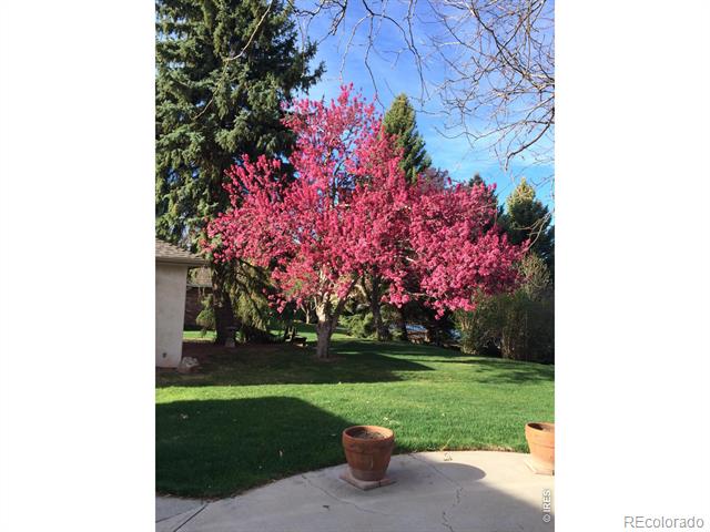 2401 Brookwood Drive