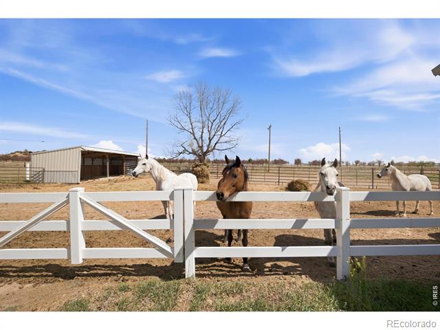 8952 Gander Valley Lane