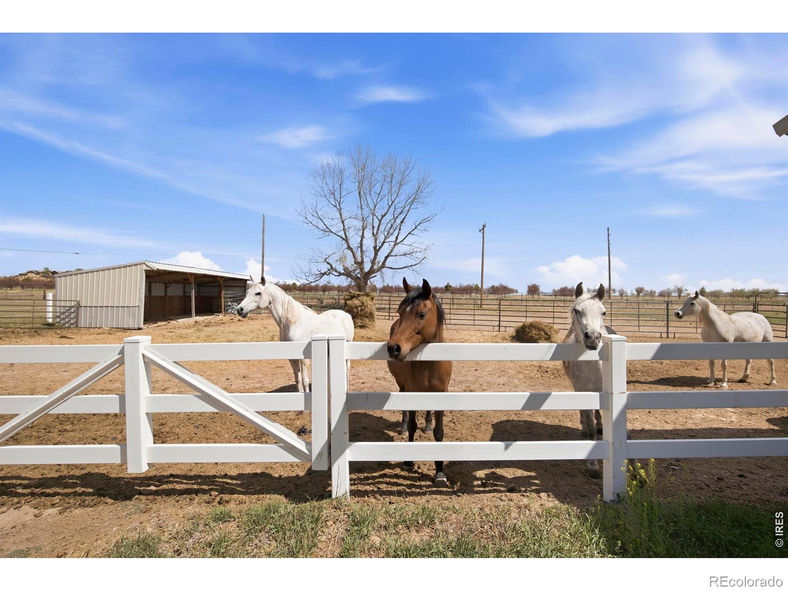 8952 Gander Valley Lane