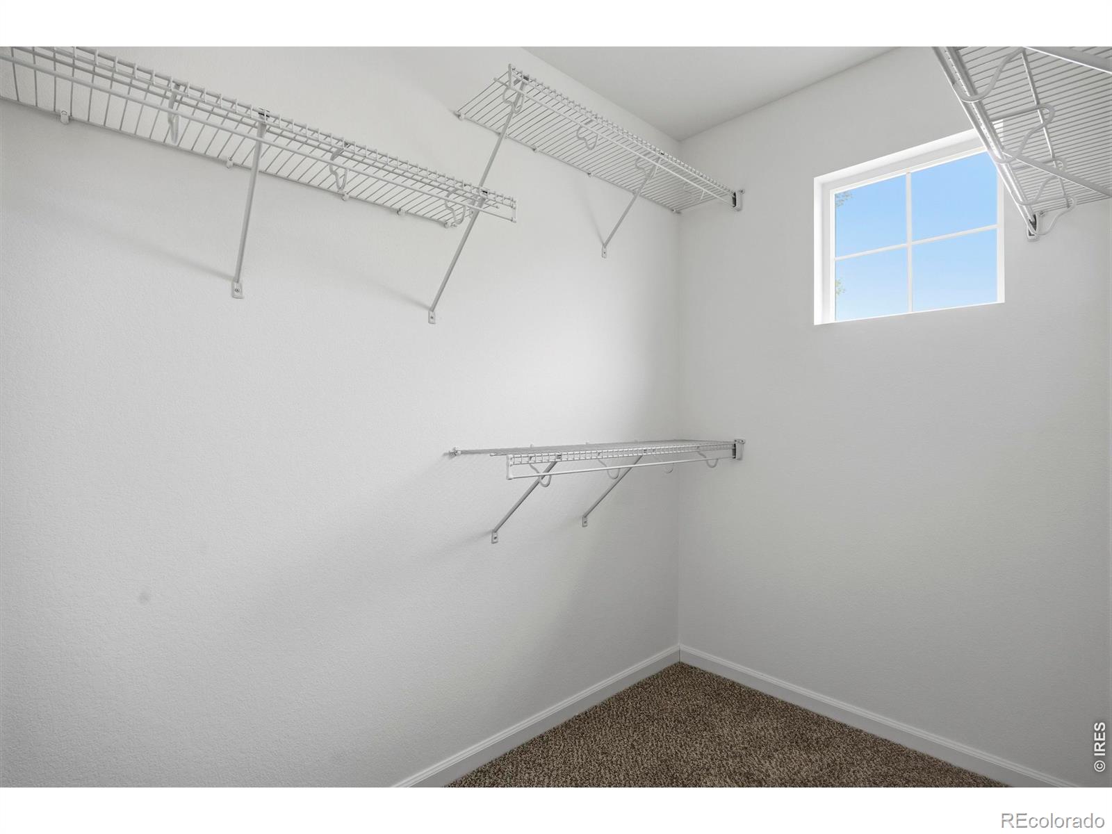 153 Brass Court