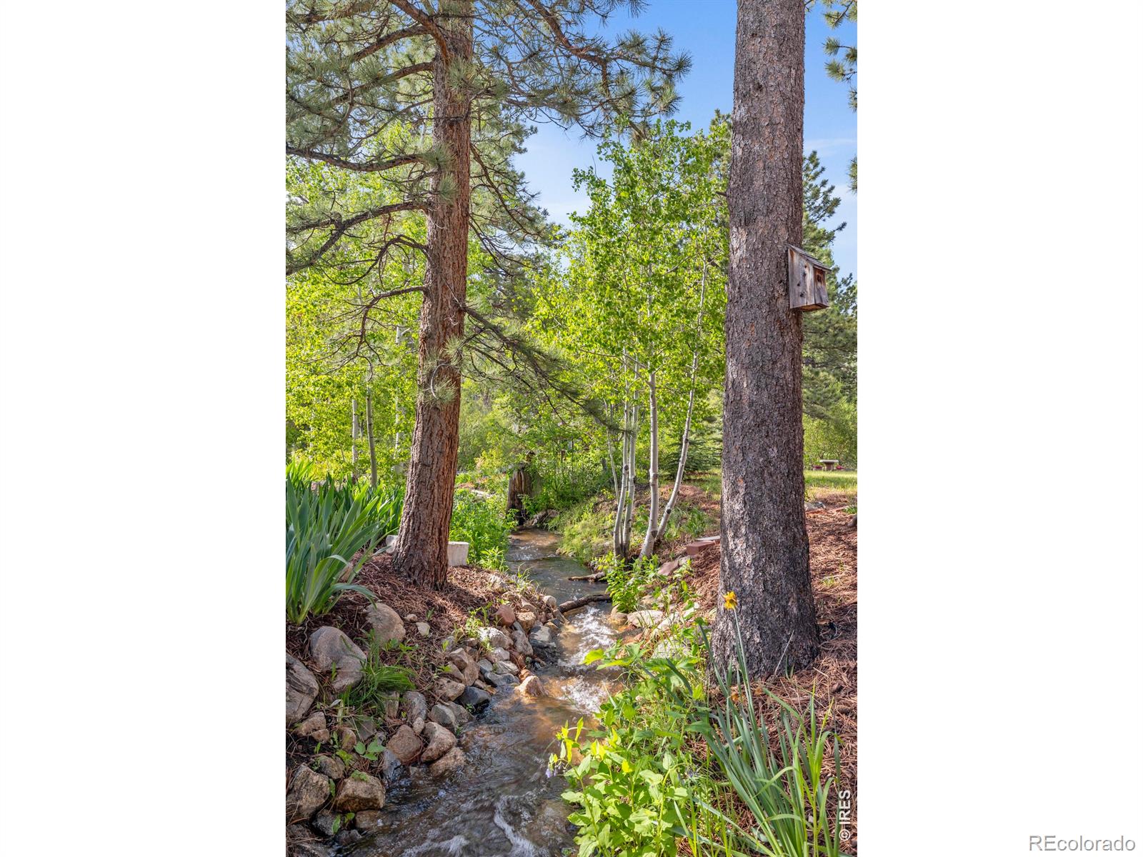 428 Rustic Road