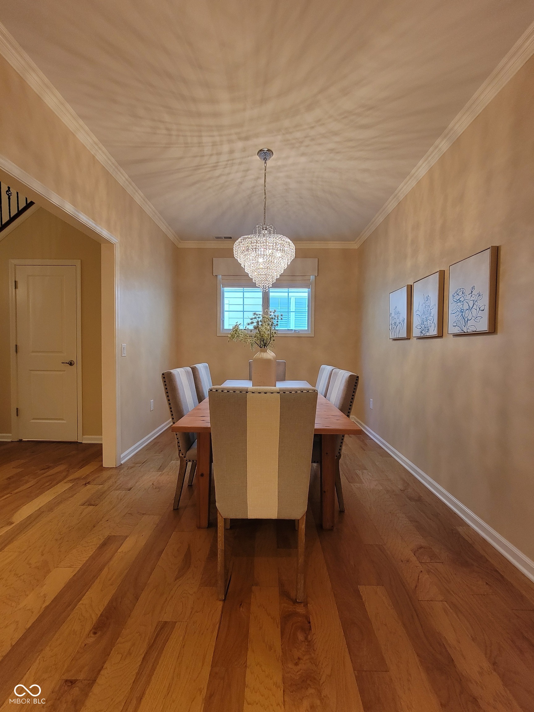 513 Firefly Lane