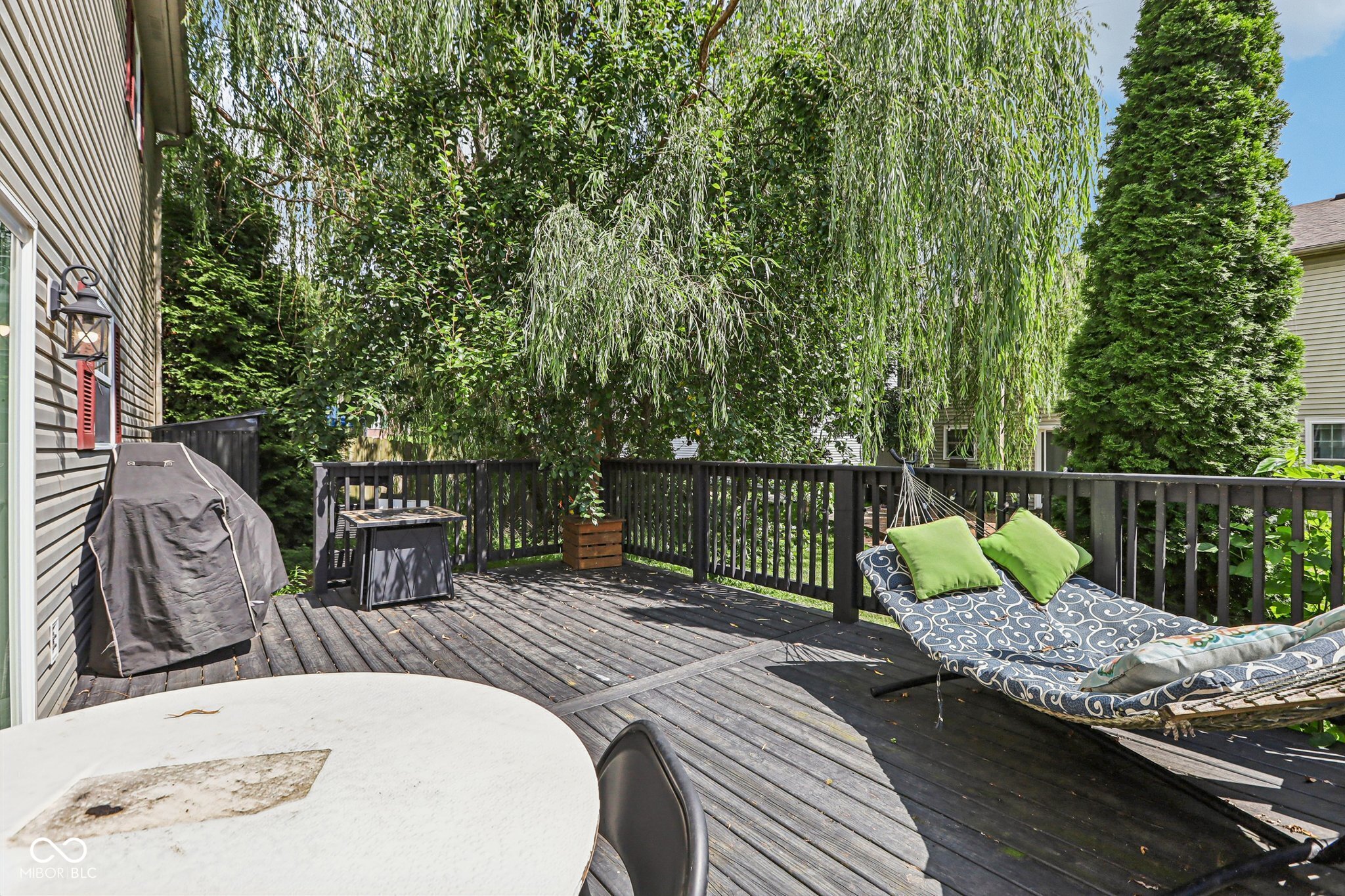 10093 Boysenberry Drive