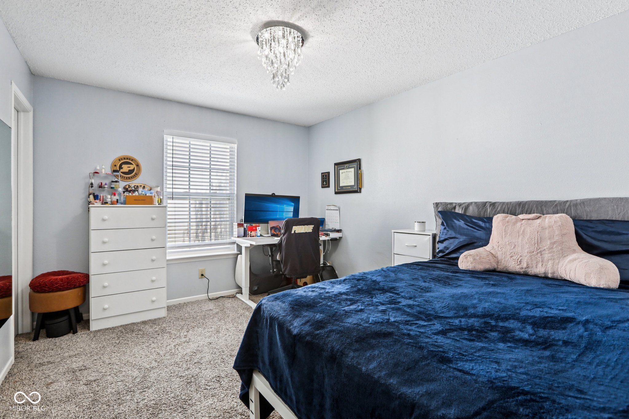 10093 Boysenberry Drive