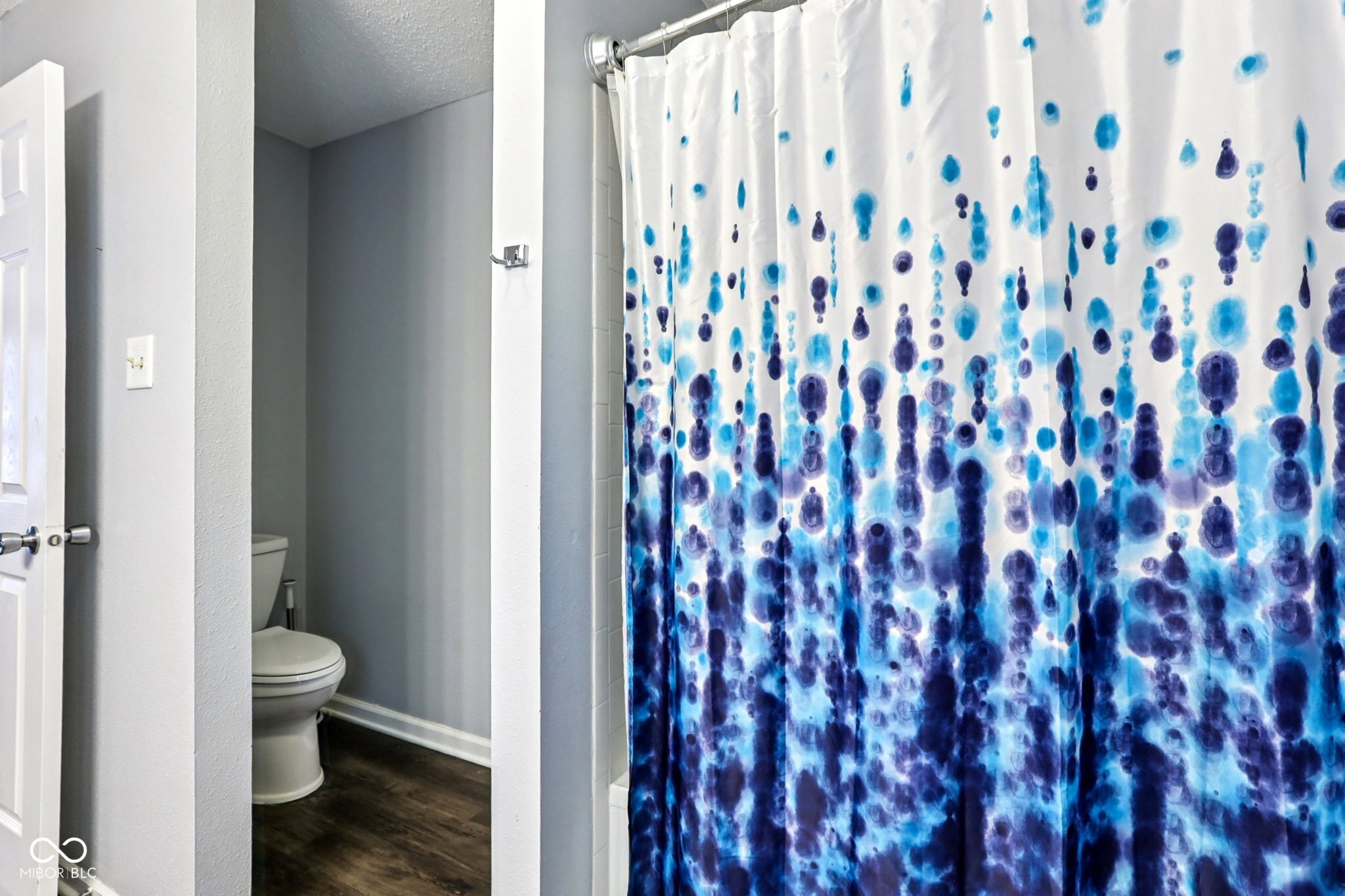 10093 Boysenberry Drive