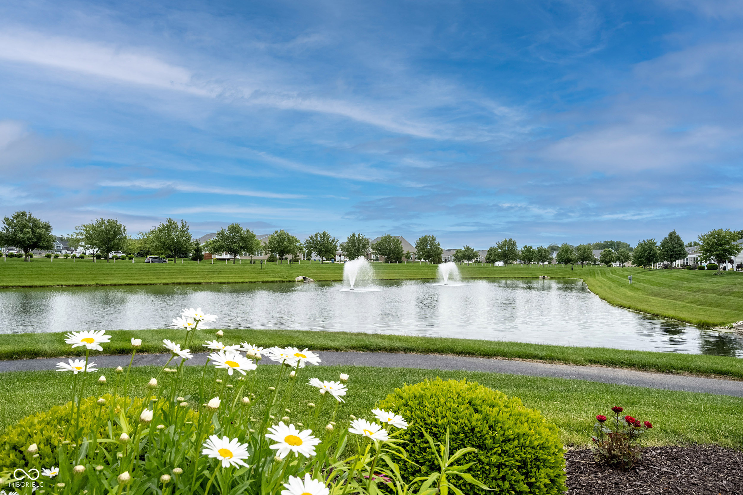 Neighborhood pond with two fountains, foreground daisies, and homes along the far bank.