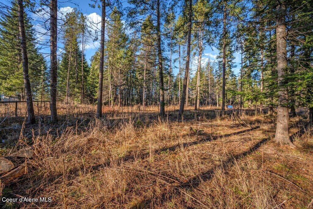 31745 N CARAVELLE RD