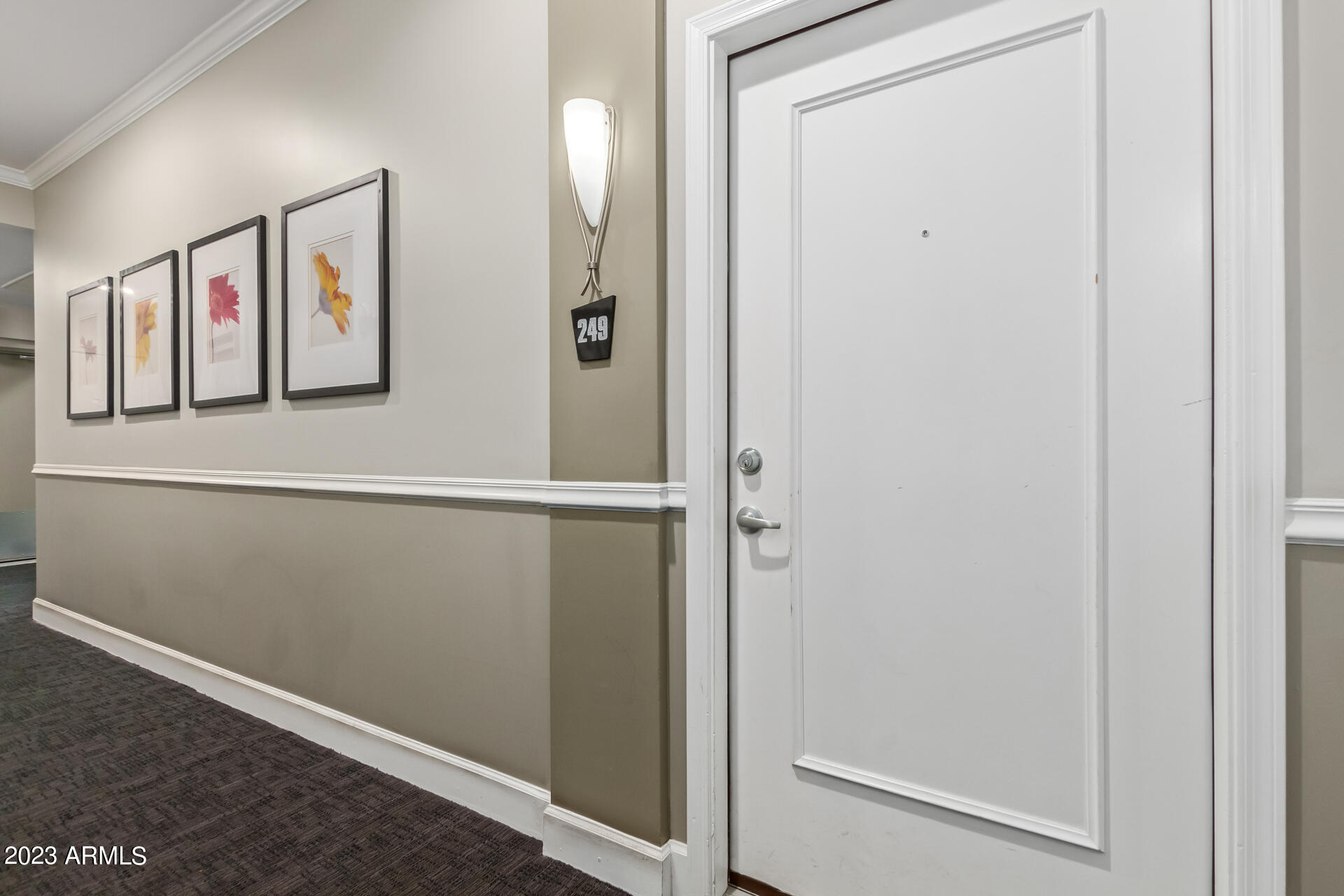 1701 E COLTER Street # 249