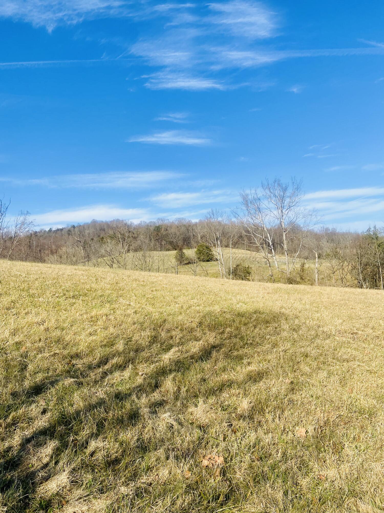 Lot 1 Rolling Meadows