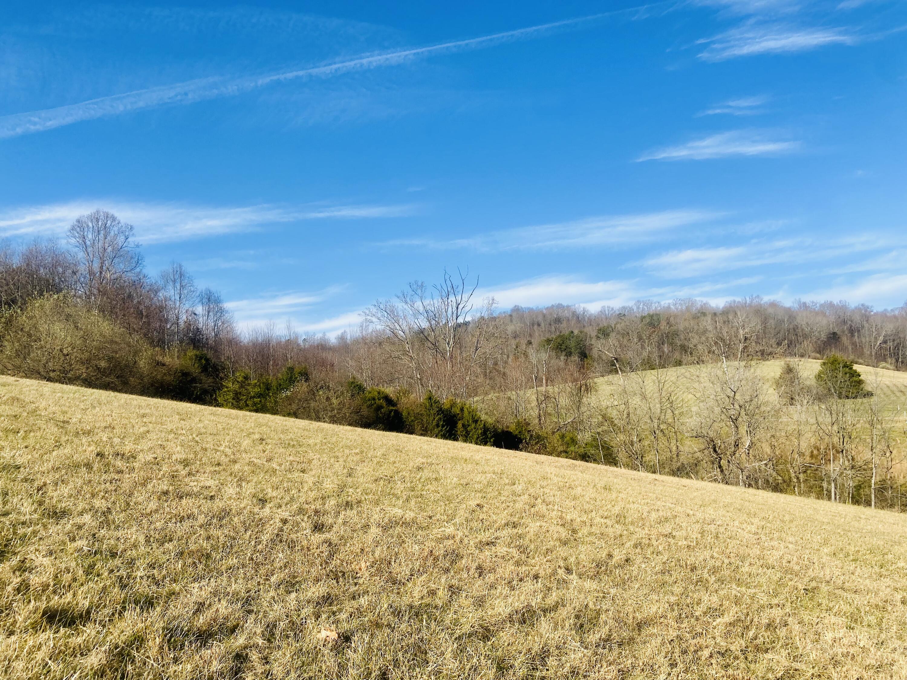 Lot 1 Rolling Meadows