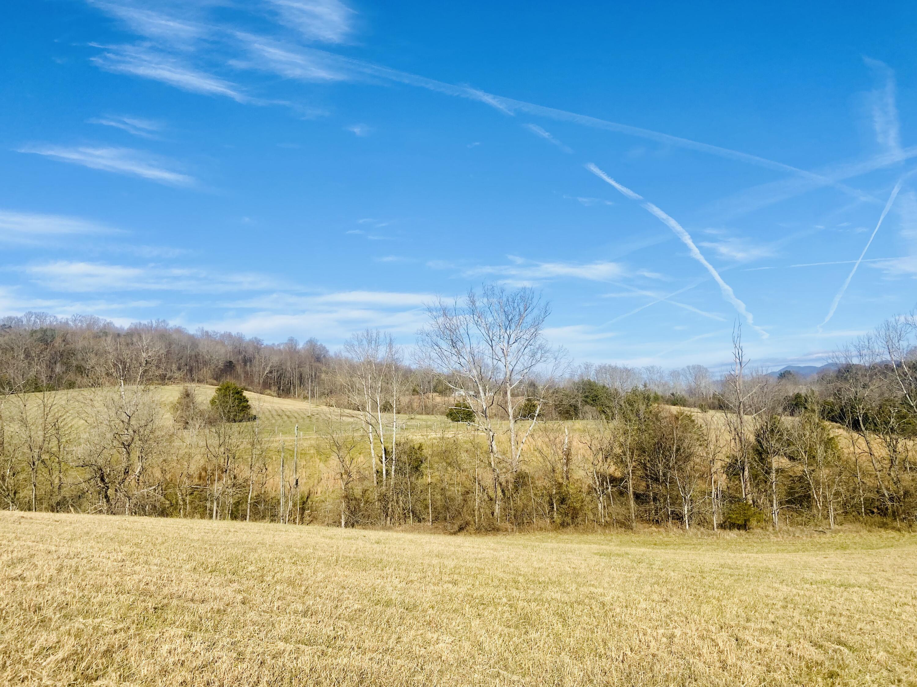 Lot 1 Rolling Meadows