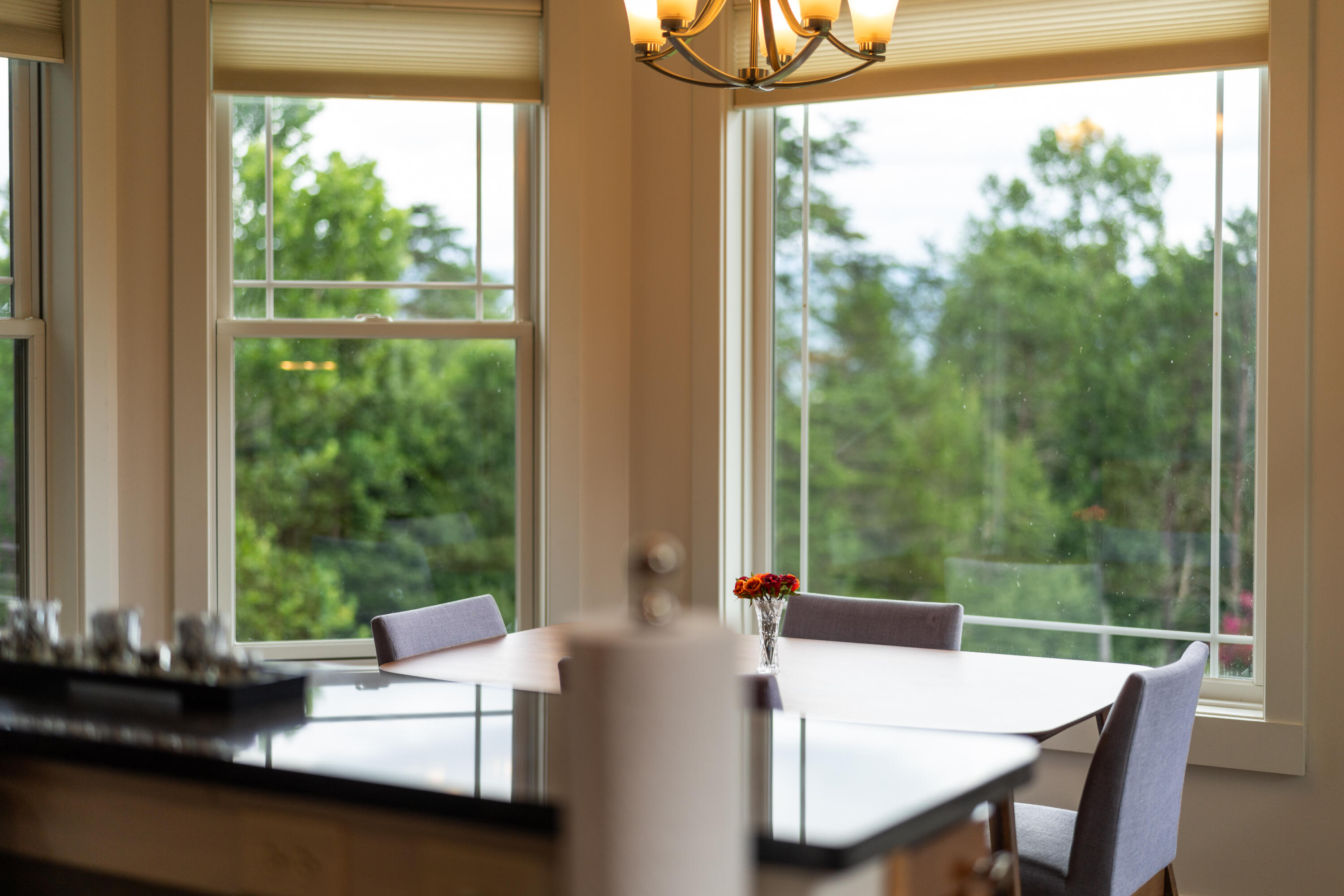 251 Alpine Dr