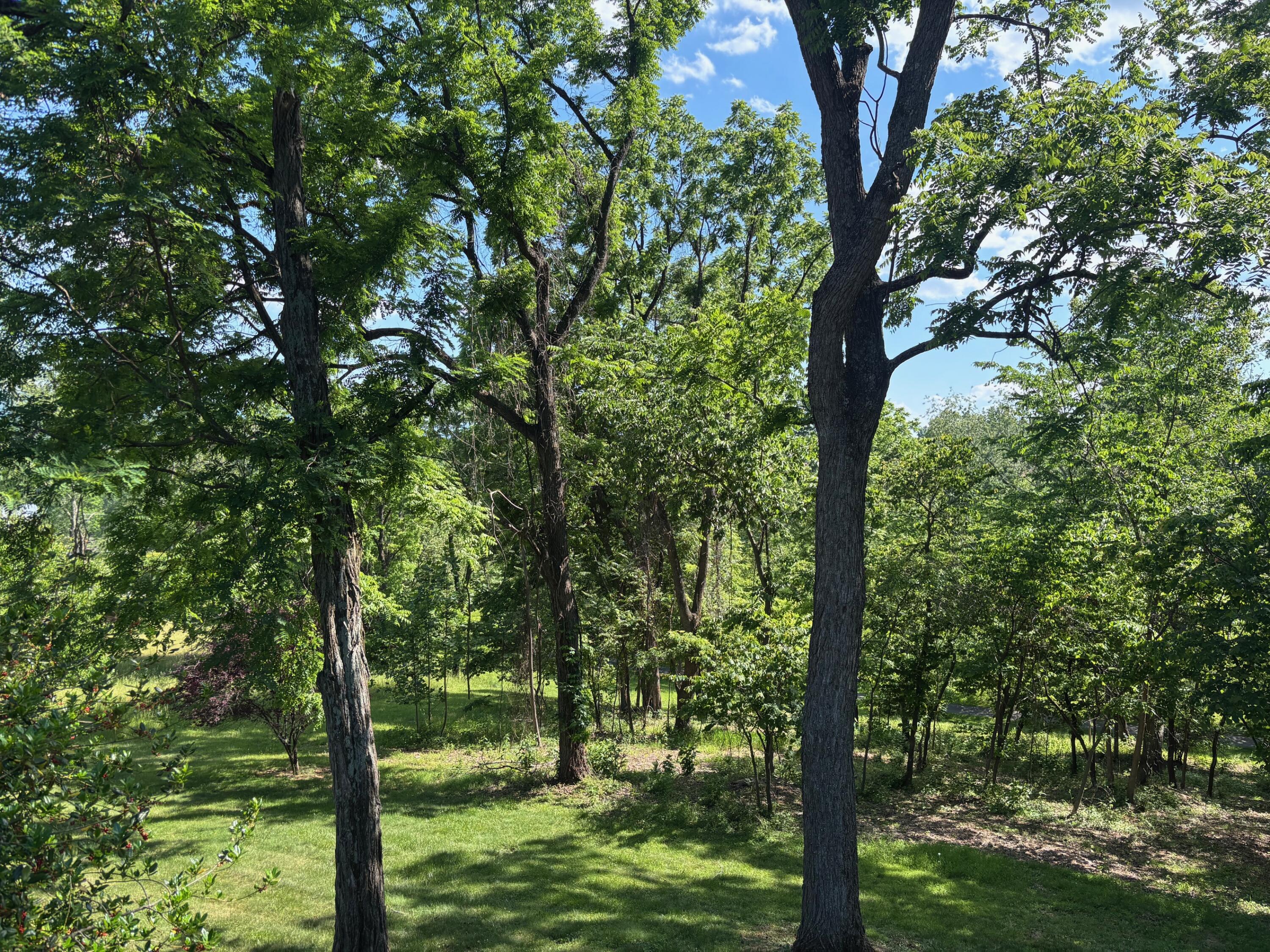 82 Ridgeview Ln