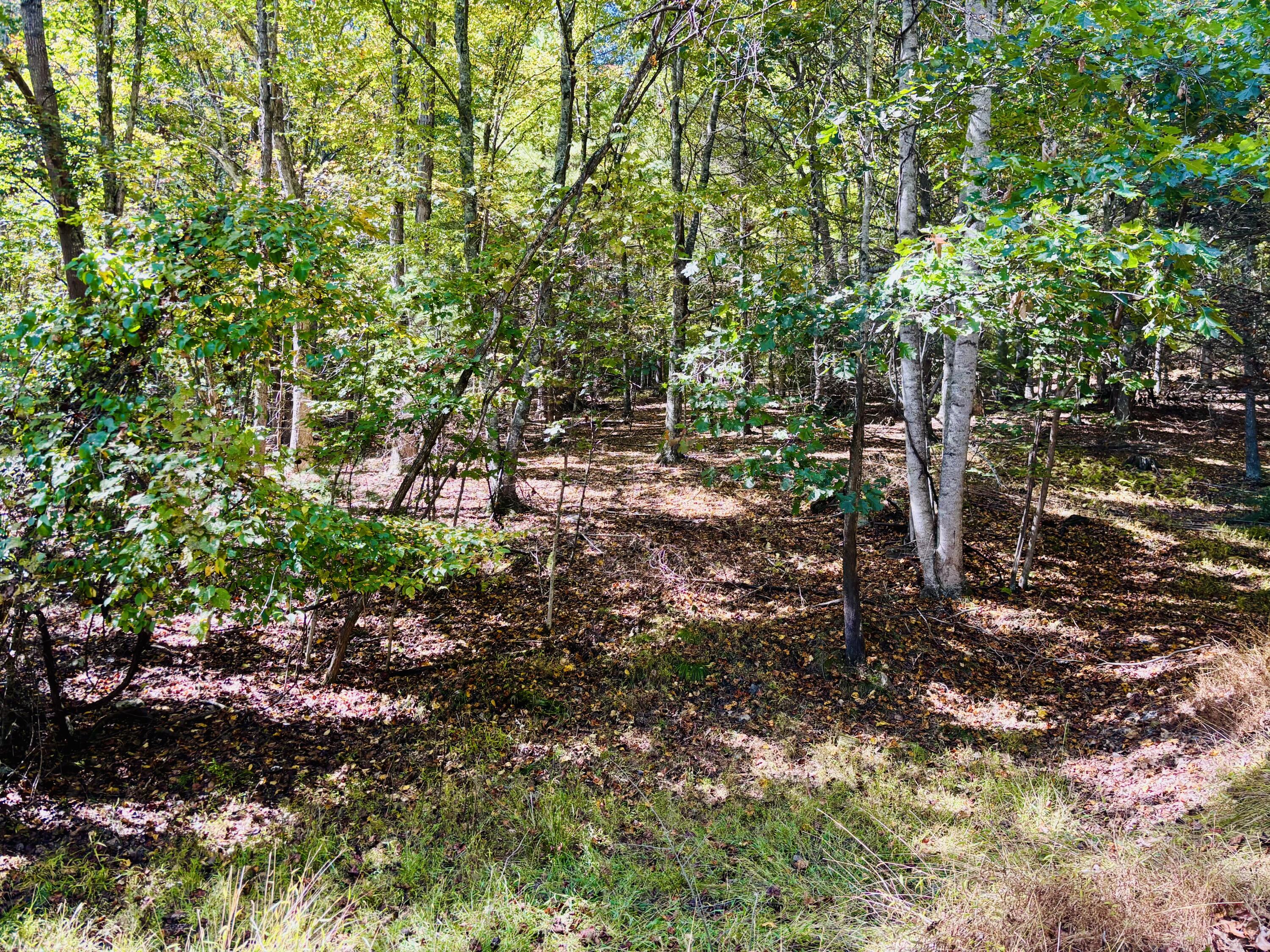 6537 Mill Creek Rd