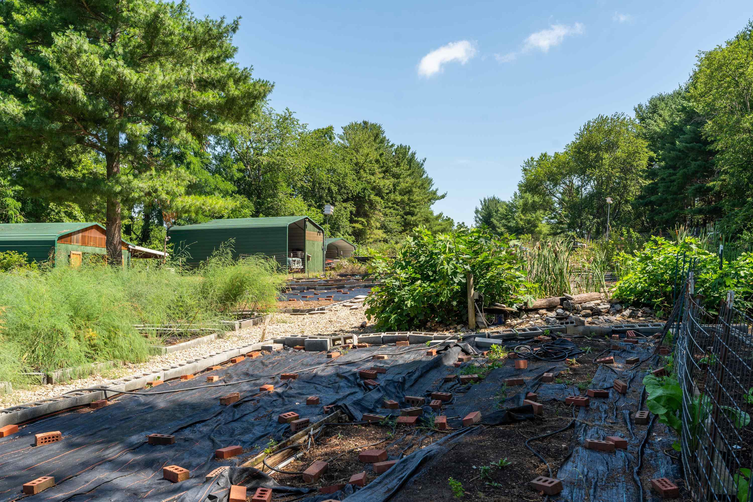 801 BROADHEAD SCHOOL RD