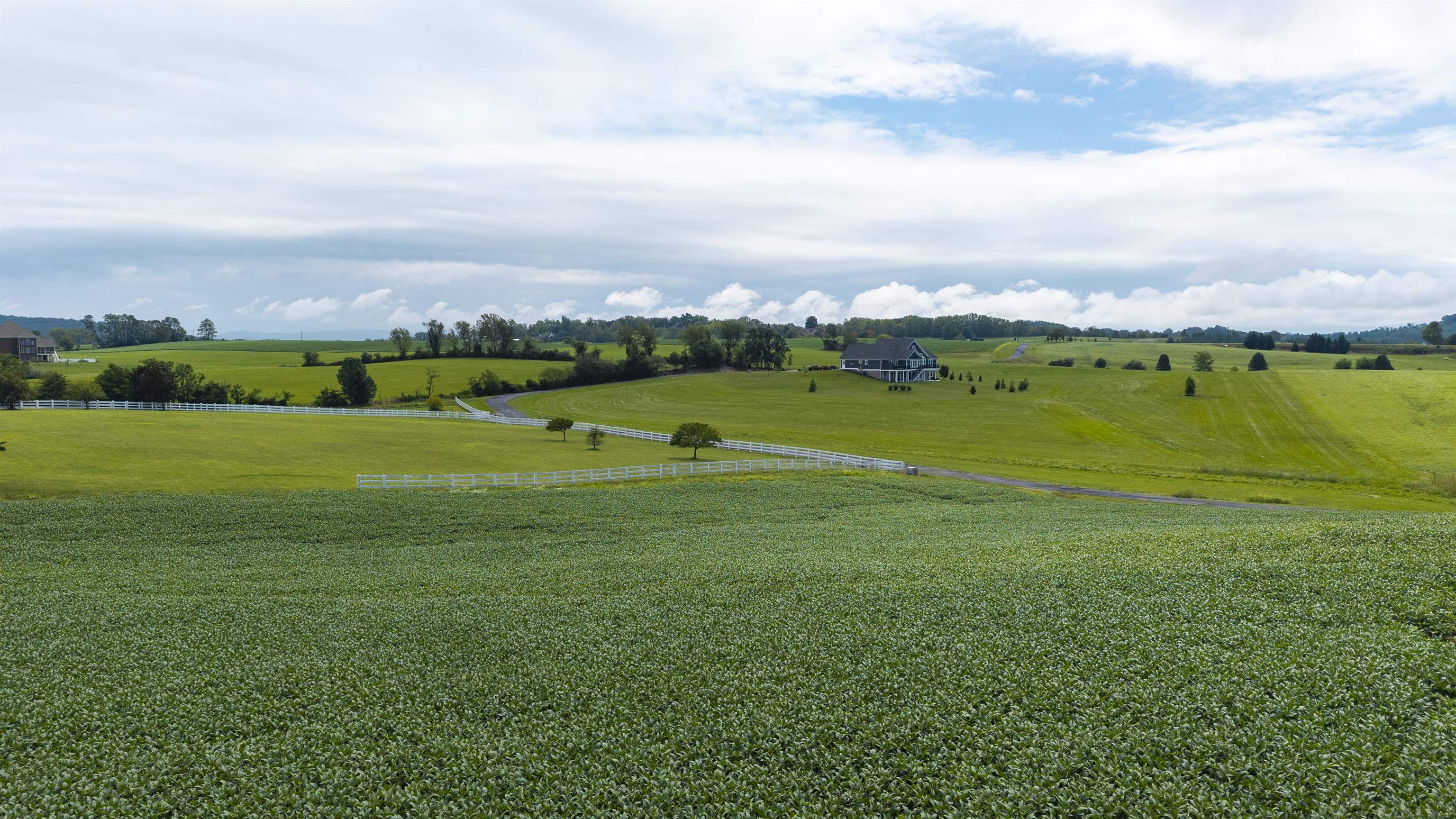 TBD 19.91 acres ESTATE LN