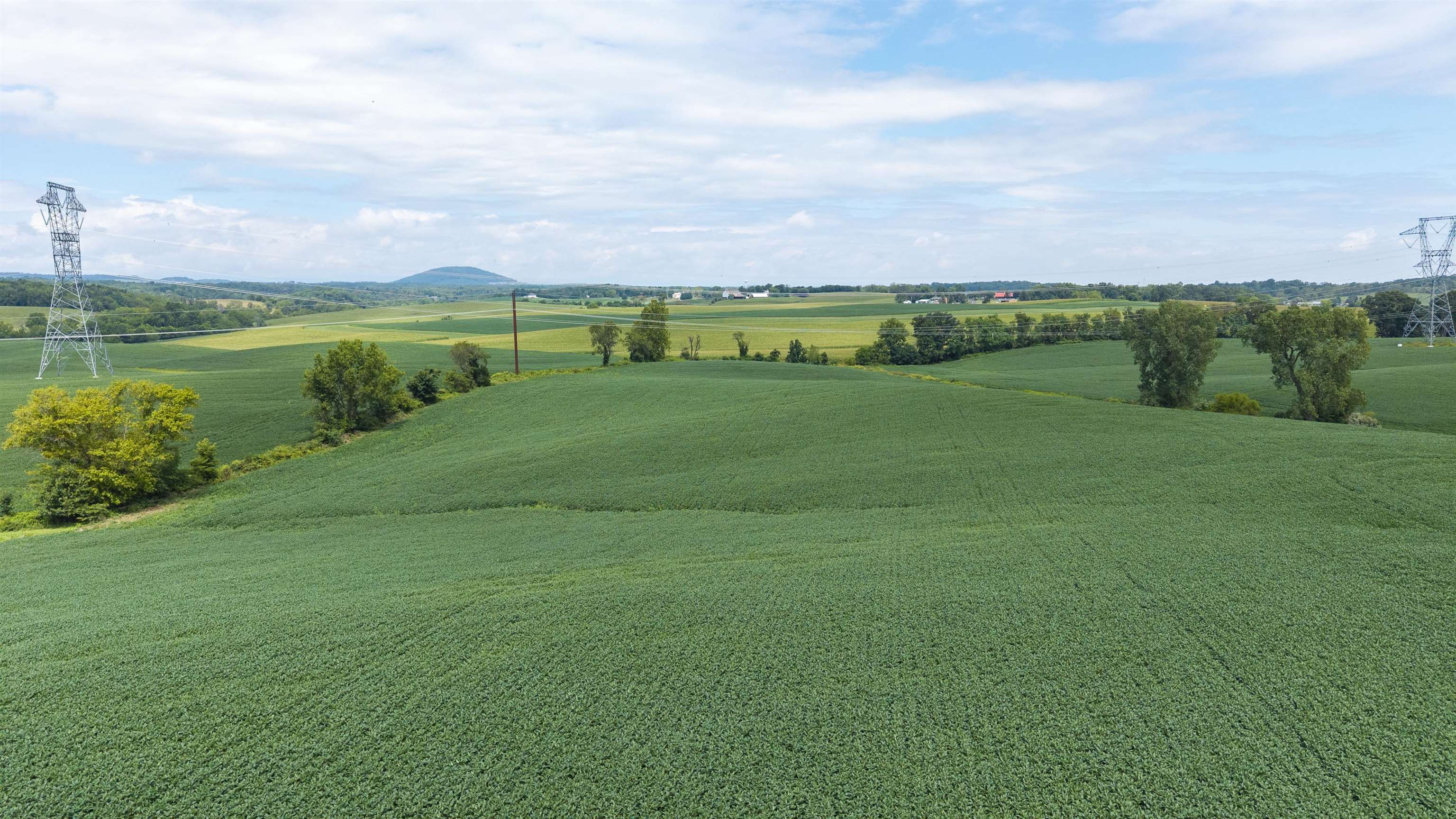 TBD 19.91 acres ESTATE LN