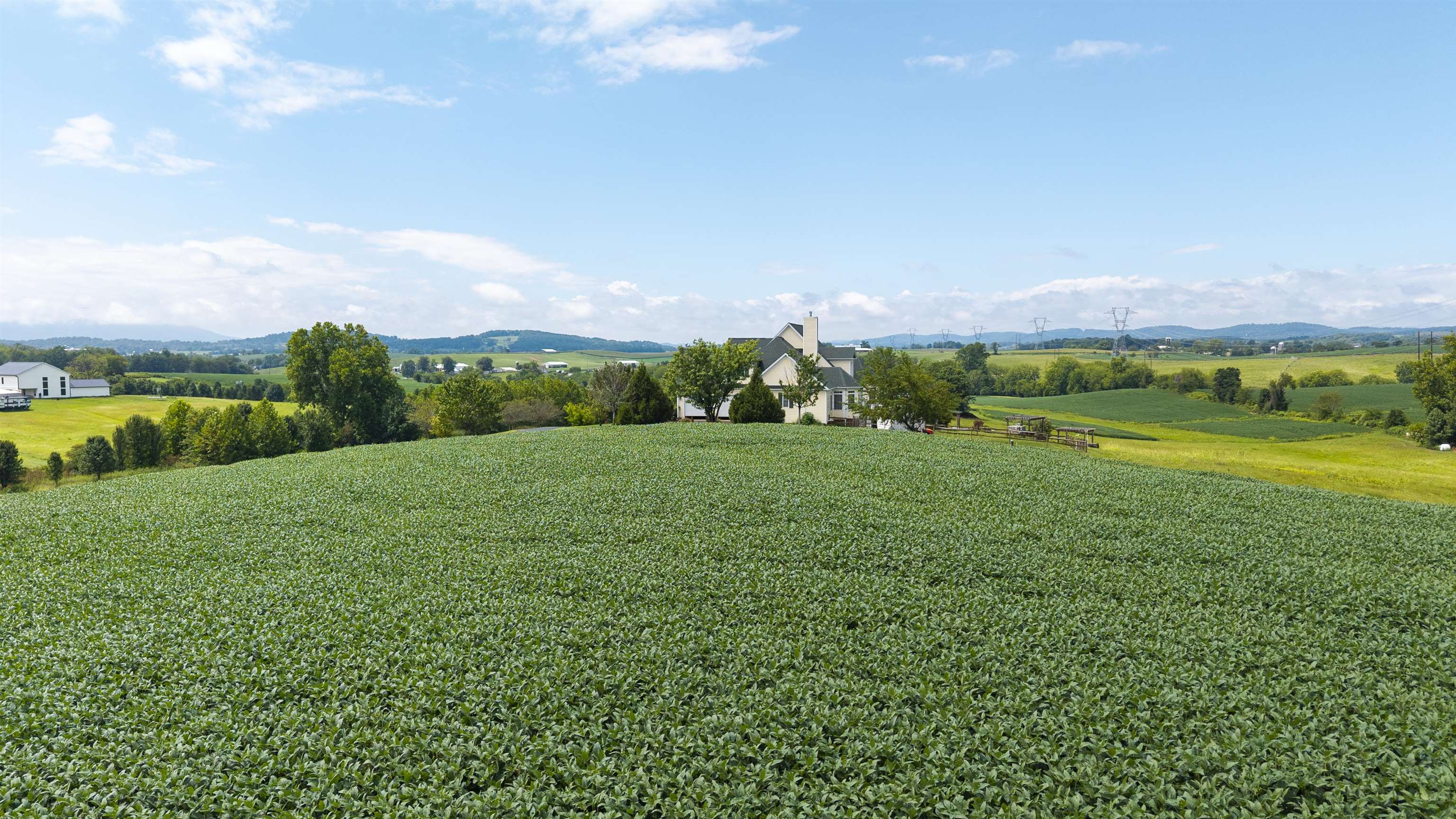 TBD 19.91 acres ESTATE LN