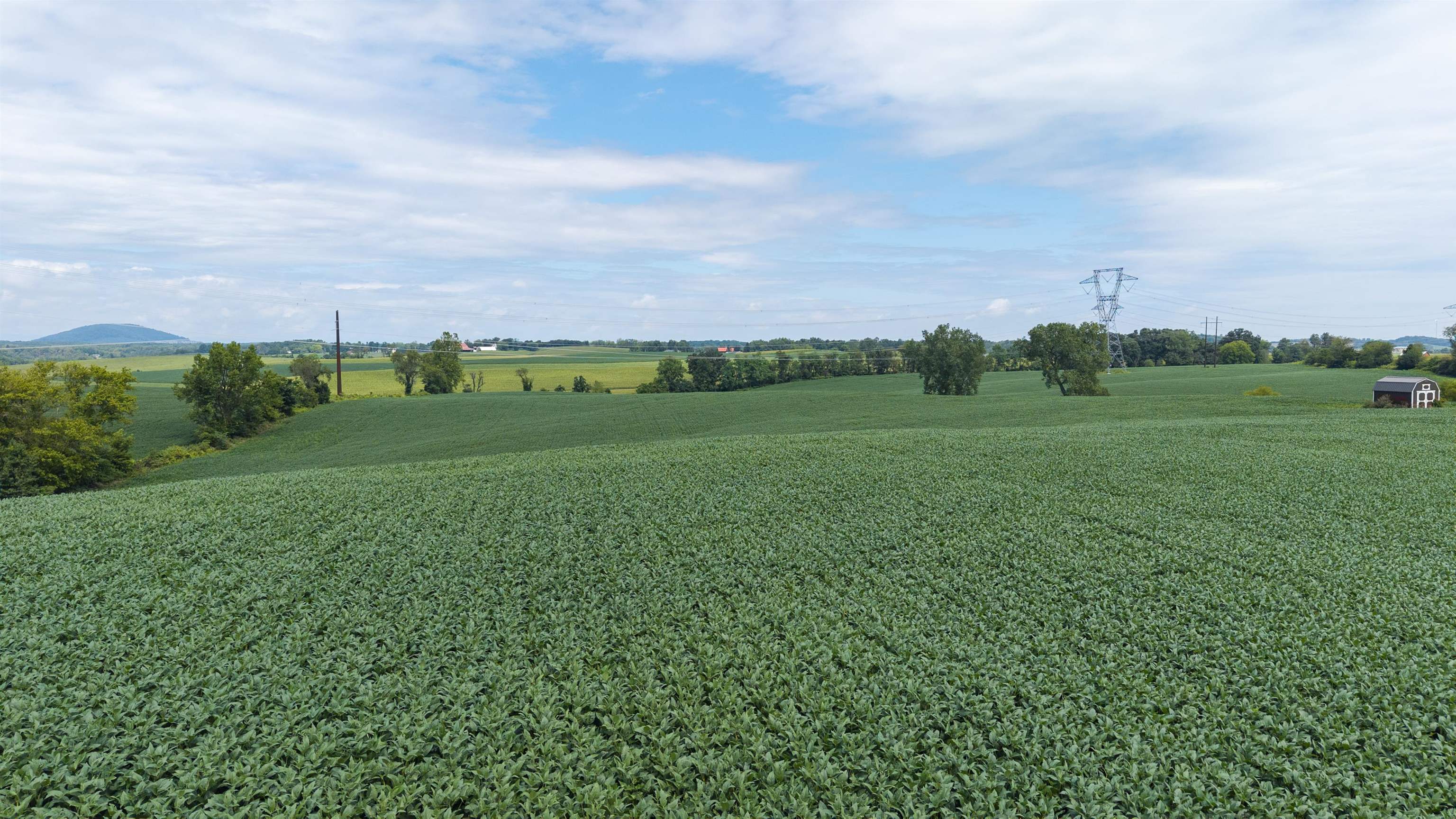 TBD 19.91 acres ESTATE LN