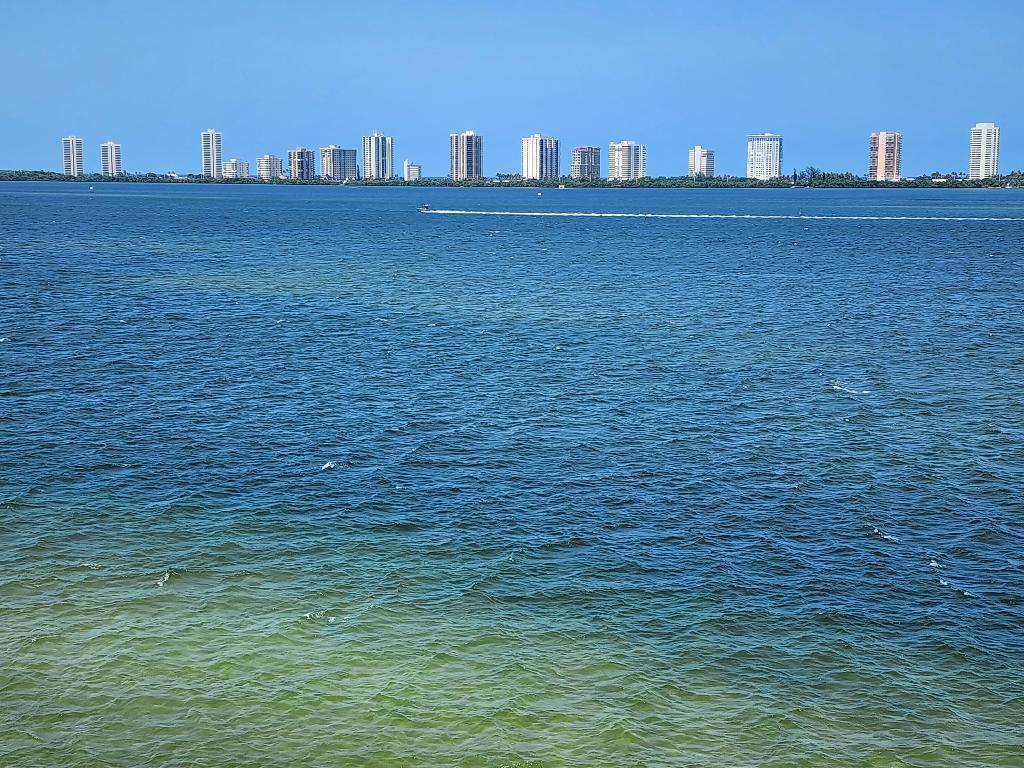 801 Lake Shore Drive Unit: 806