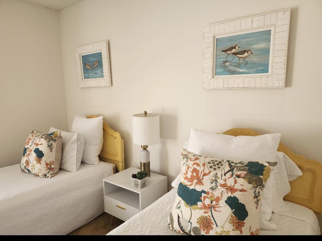 22234 Morning Glory Terrace