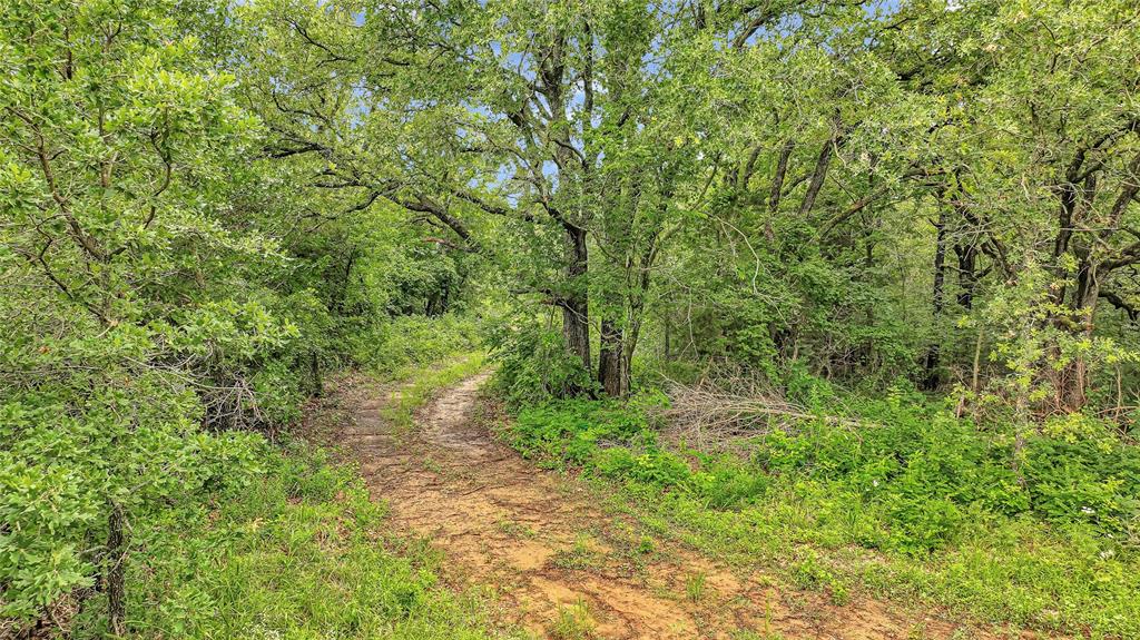 E County Road 1660 Road