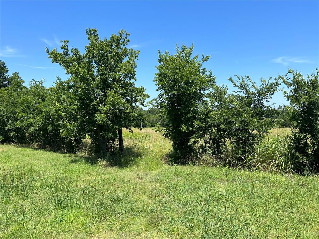 48592 State Highway 59