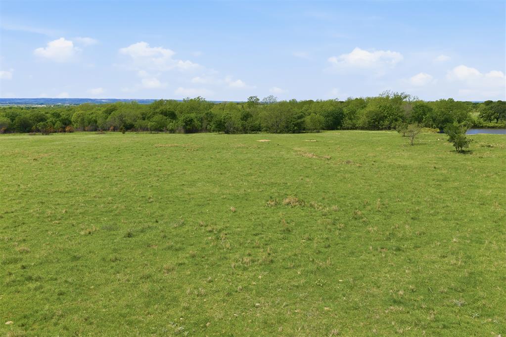 Chickasaw Trail Road
