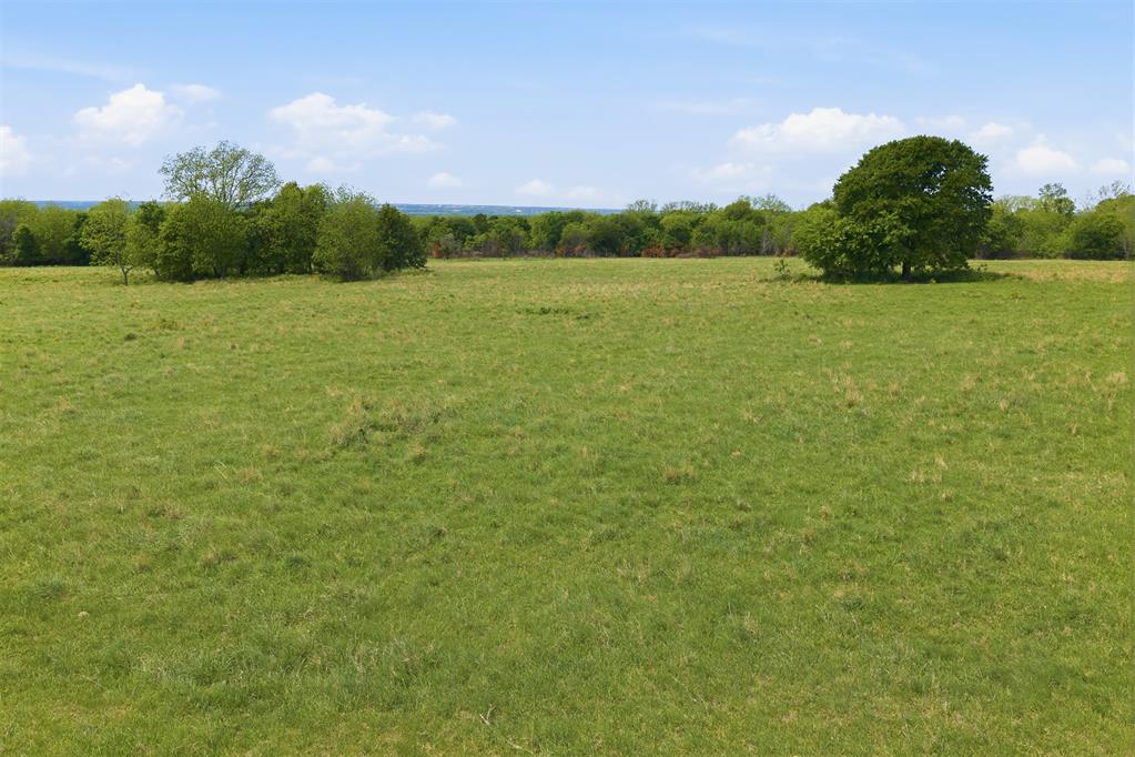 Chickasaw Trail Road