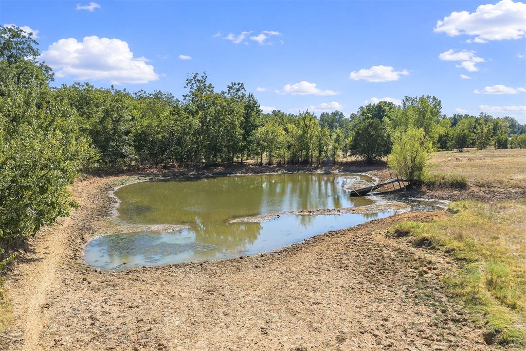 Rural pond bordered by open ground and a leafy tree line.