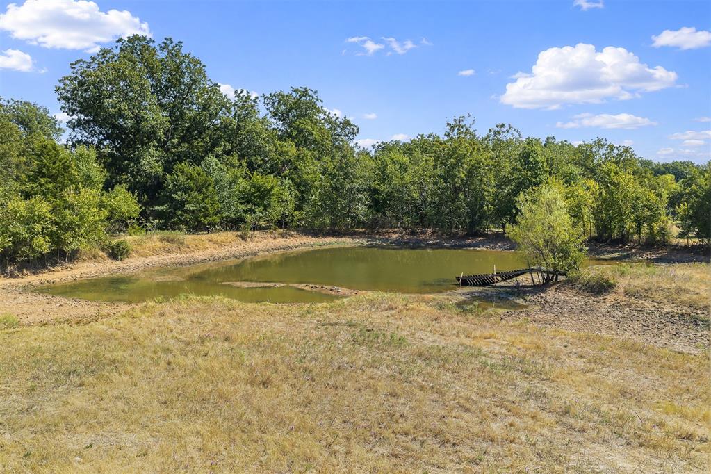 Small pond with a wooden dock in a grassy clearing surrounded by trees.