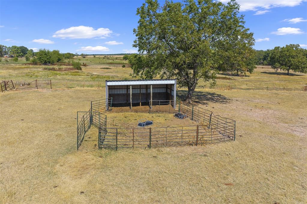 Aerial view of livestock pen and shelter beneath a large tree in open pasture.