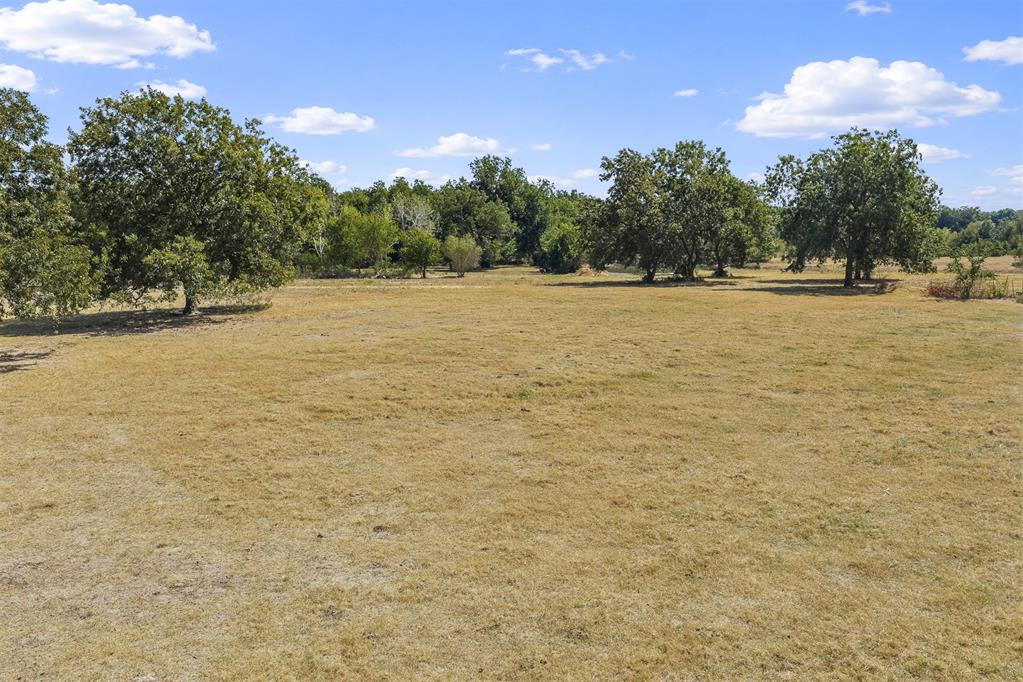 Open grassy clearing bordered by mature trees and woods beneath a blue sky.