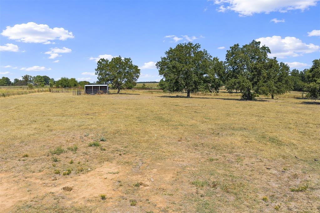Open rural field with mature trees, a small metal shed, and fencing.